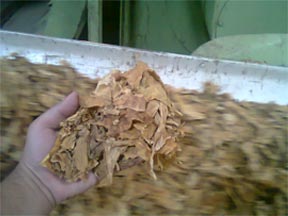leaf tobacco shredded tobacco dark air cured tobacco rustica tobacco