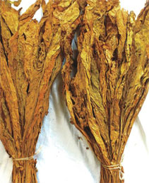 dark air-cured tobacco dark air-cured tobacco