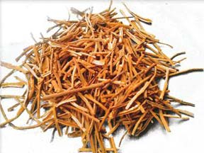 Flue Cured Virginia and Burley Tobacco Flue Cured Virginia and Burley Tobacco